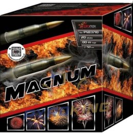 Bateria Magnum PXB3710