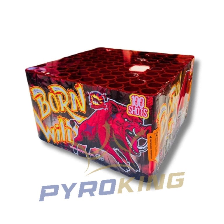 Wyrzutnia Born Wild 100 strzałów 25 mm CLE4137PL SRPYRO F3